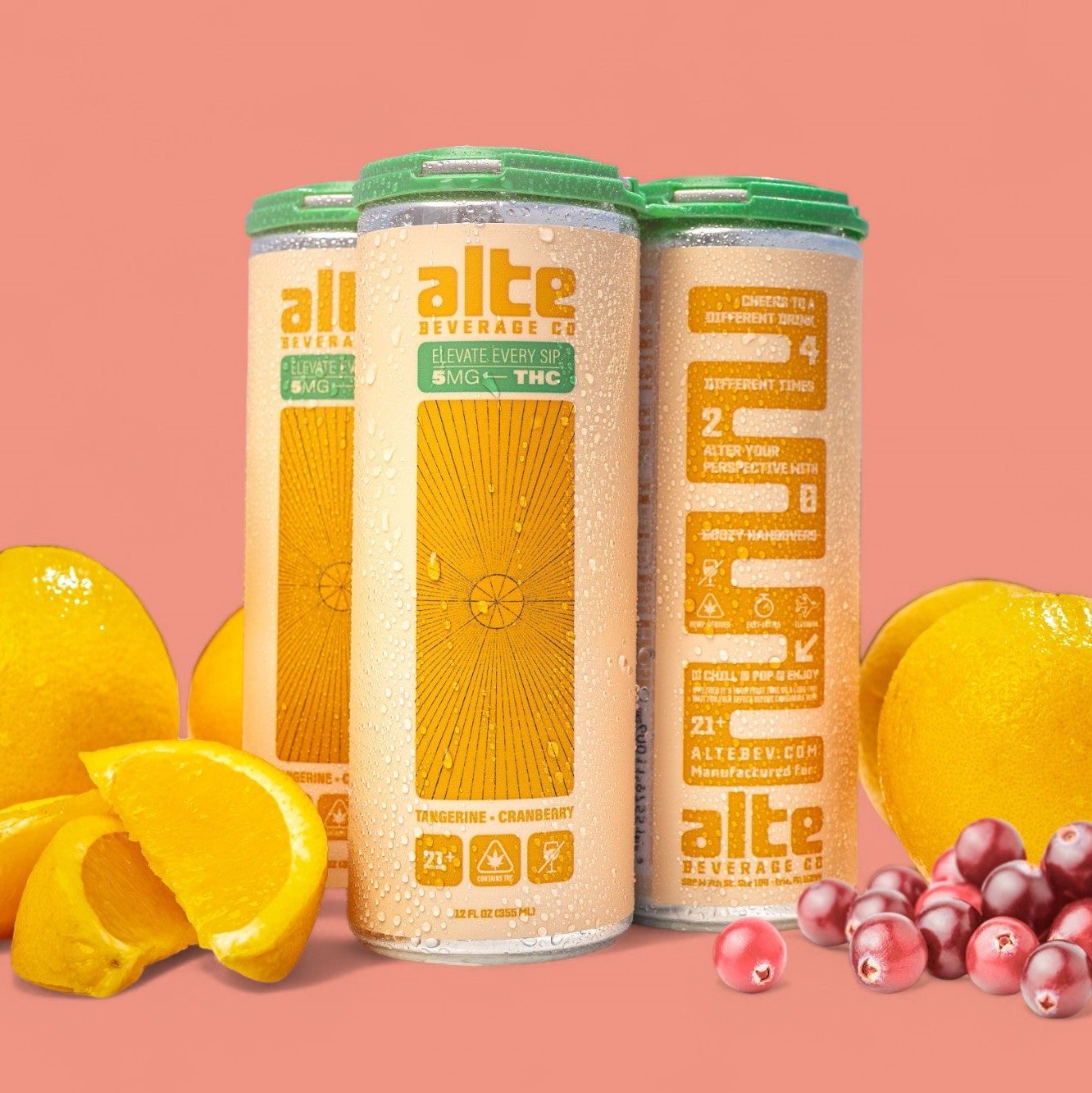 Alte Beverage 4-pack of Tangerine Cranberry with fruit images